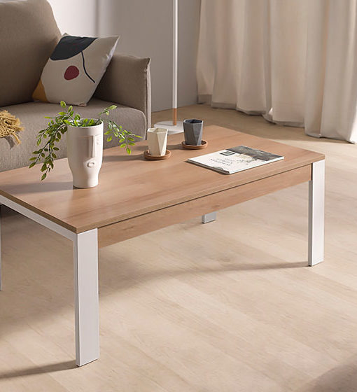 MESA CENTRO TEMA DETALLE-PATA-BLANCA